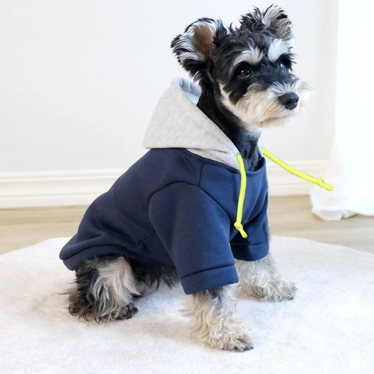 Dark red hooded pet pullover with contrasting colour panels, shown on dog model