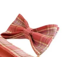 Plaid pattern dog collar and leash set with bow accessories in cloth material