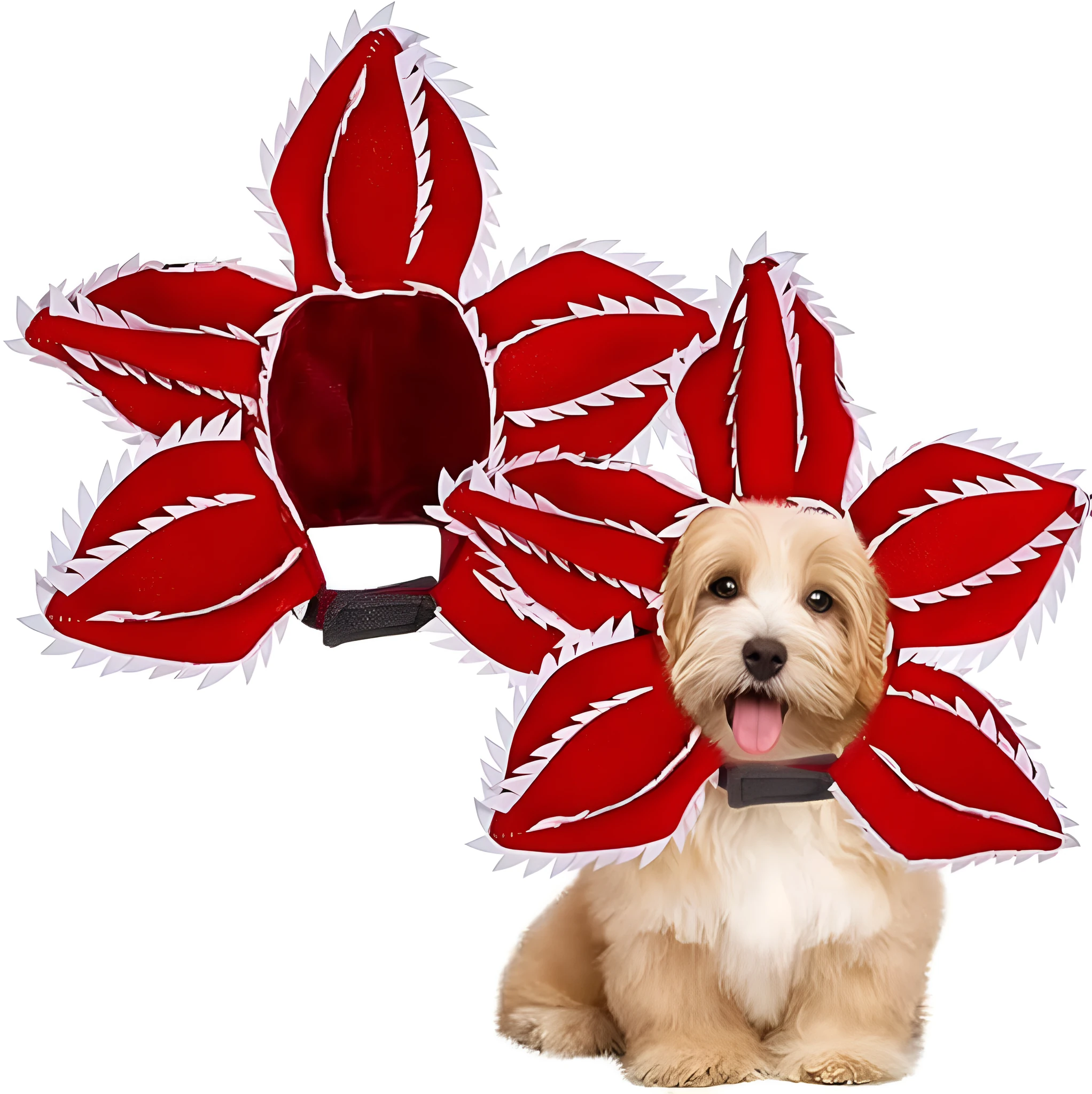 Dog wearing Halloween chomper costume with demon hat, scary headband with flowers, and coordinating outfit