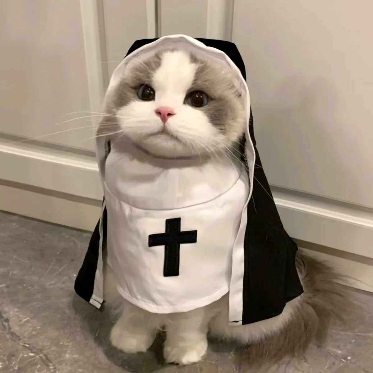 Black and white polyester nun costume cloak for a small dog on Halloween