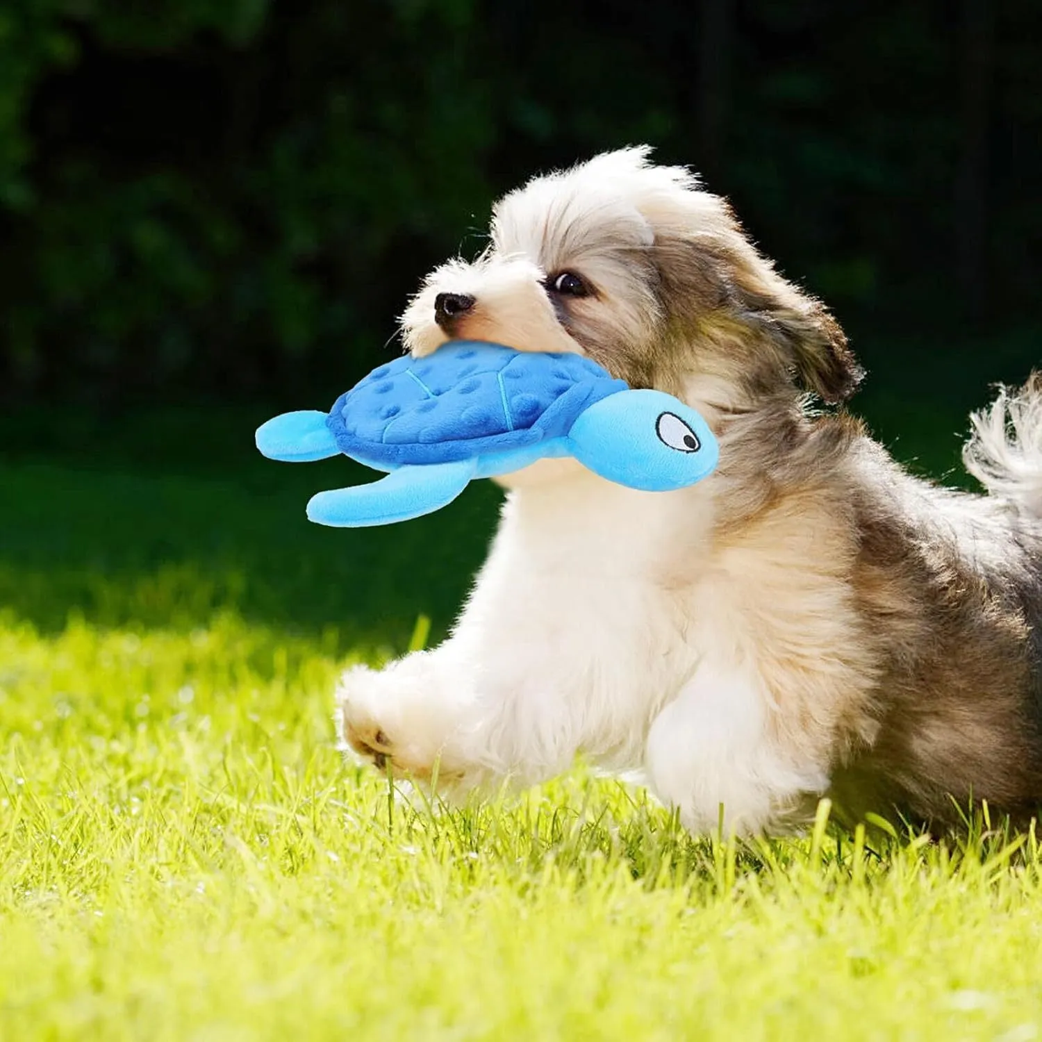 Blue sea turtle plush dog toy with squeaker for small dogs measuring 25cm