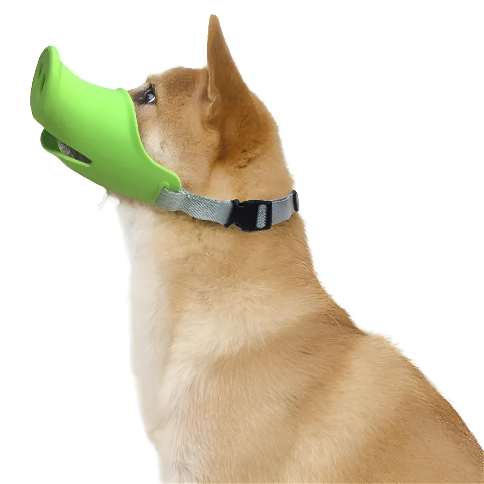 Blue silicone anti-bite mouth cover for dogs showing flexible construction and adjustable sizing