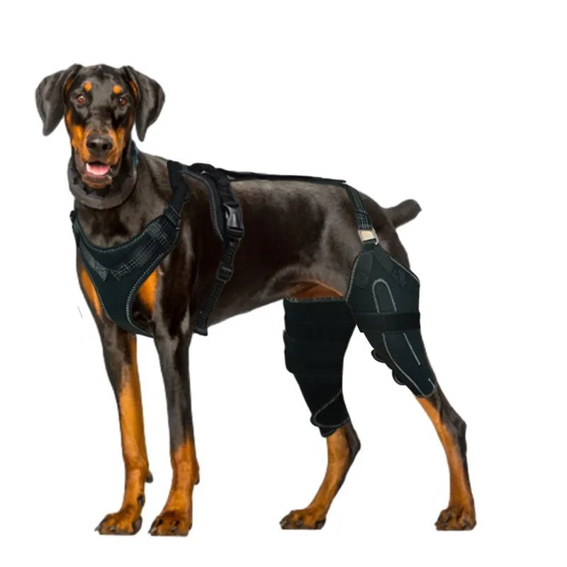Black dog thigh protective sleeve with adjustable metal support for postoperative care