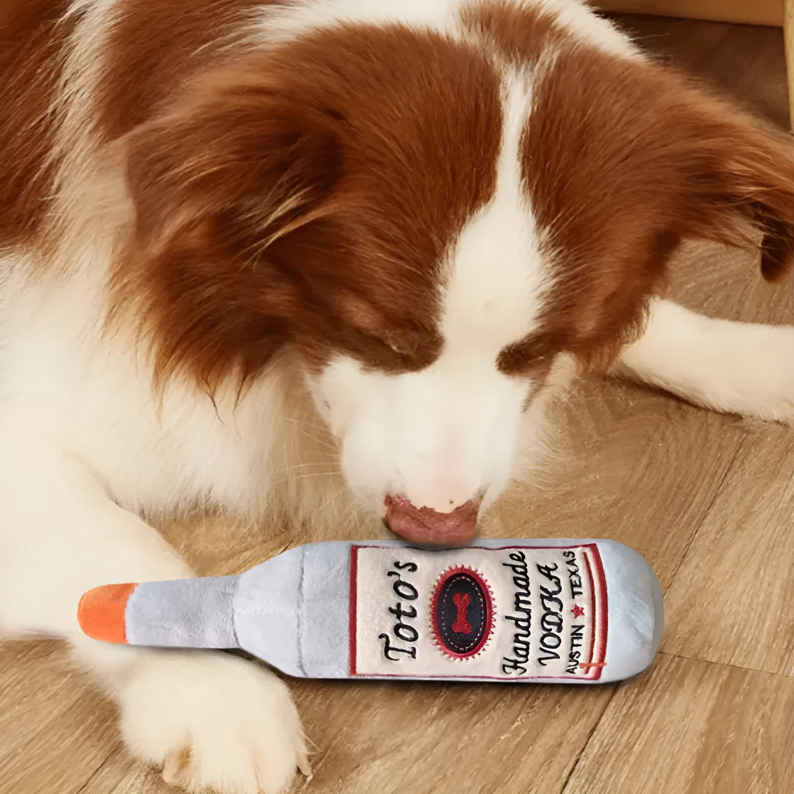 Brown plush dog chew toy with sound bottle squeaker design for dental chewing satisfaction