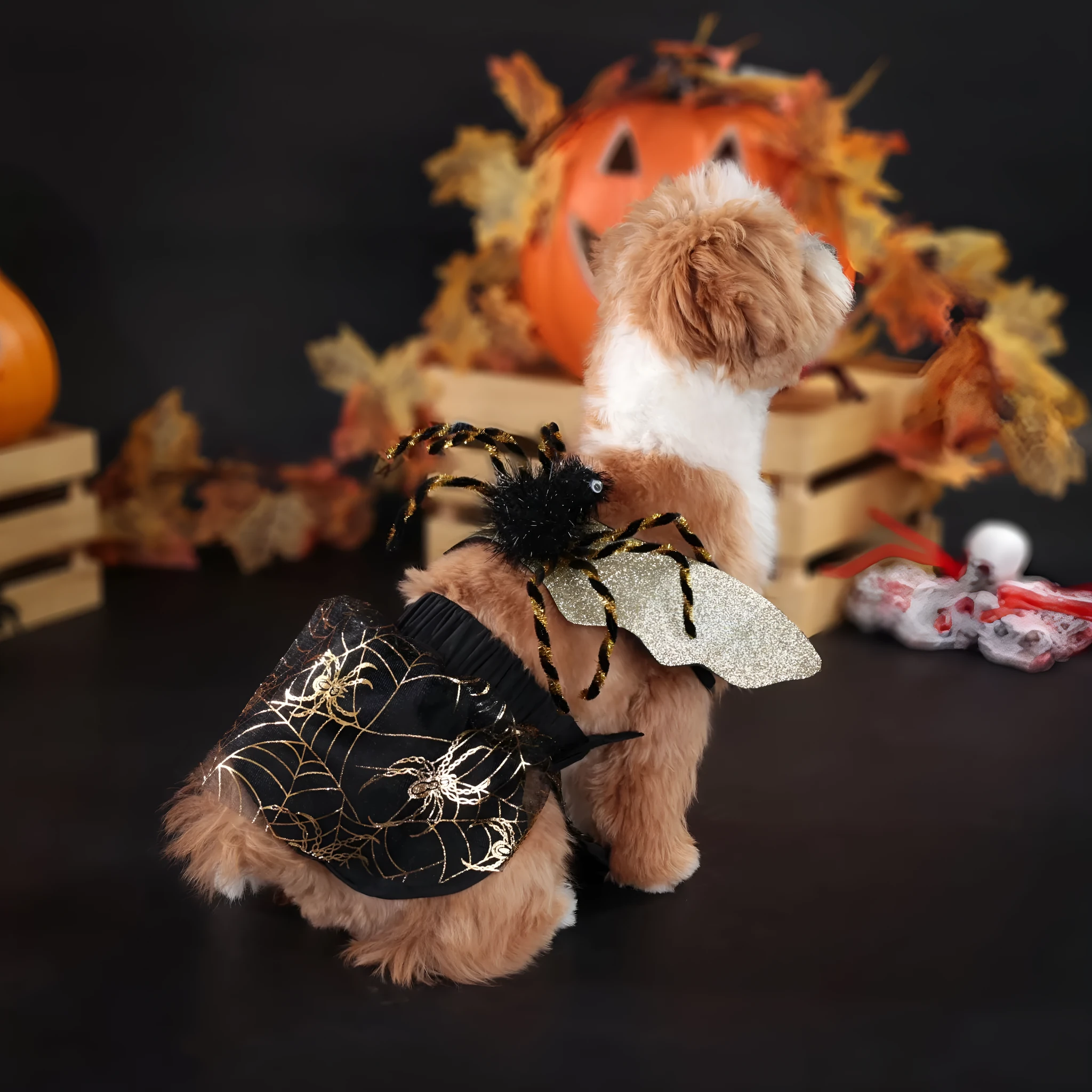 A brown polyester suit costume for a dog, shown on a pet, suitable for Halloween or parties.