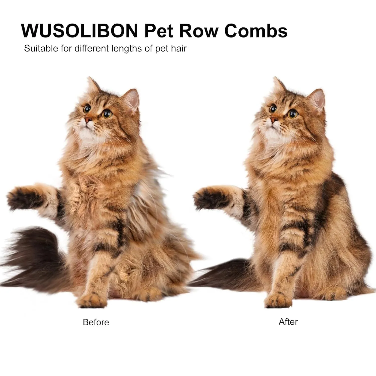 Green and white stainless steel cat combs with rounded teeth for gentle pet grooming