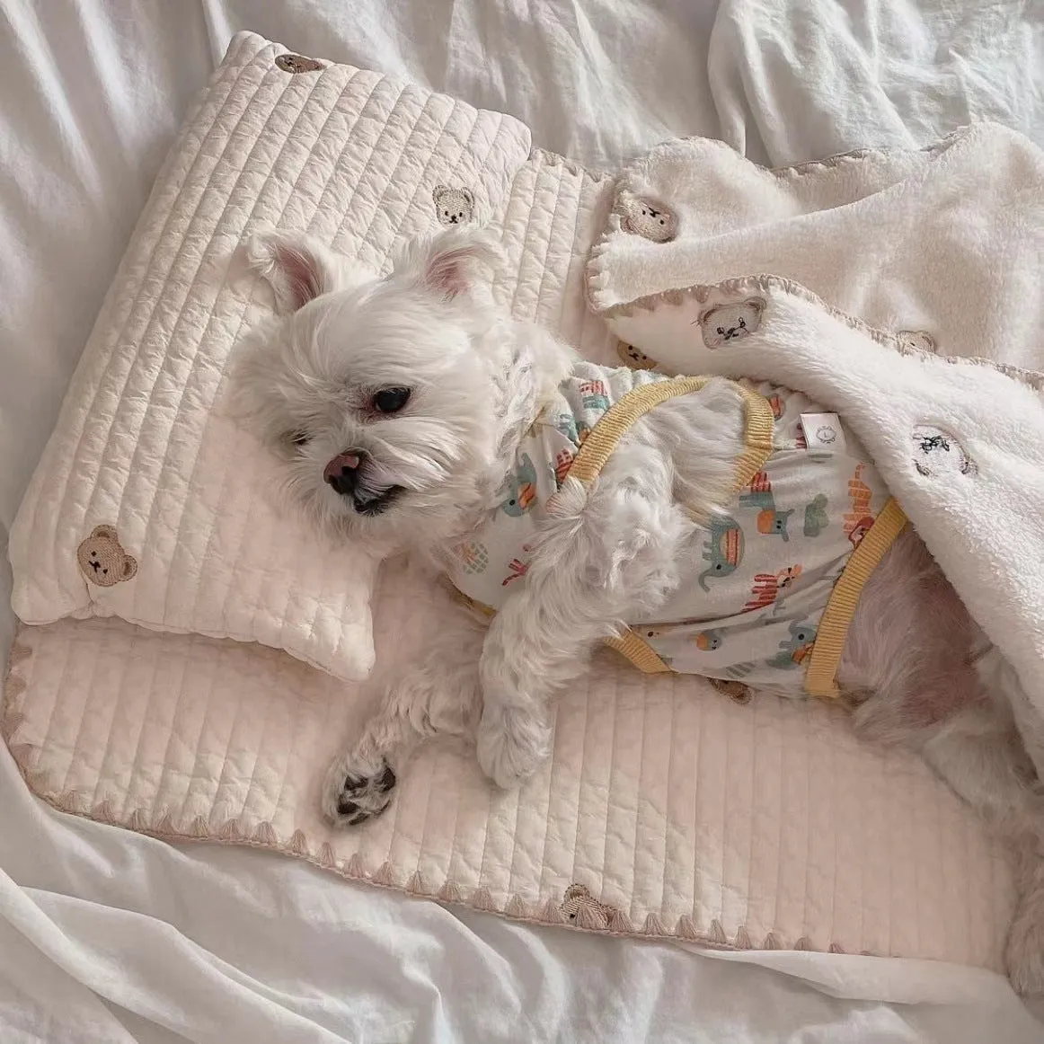 Bear-patterned dog bed set with pillow, mattress, and quilt components in removable washable design