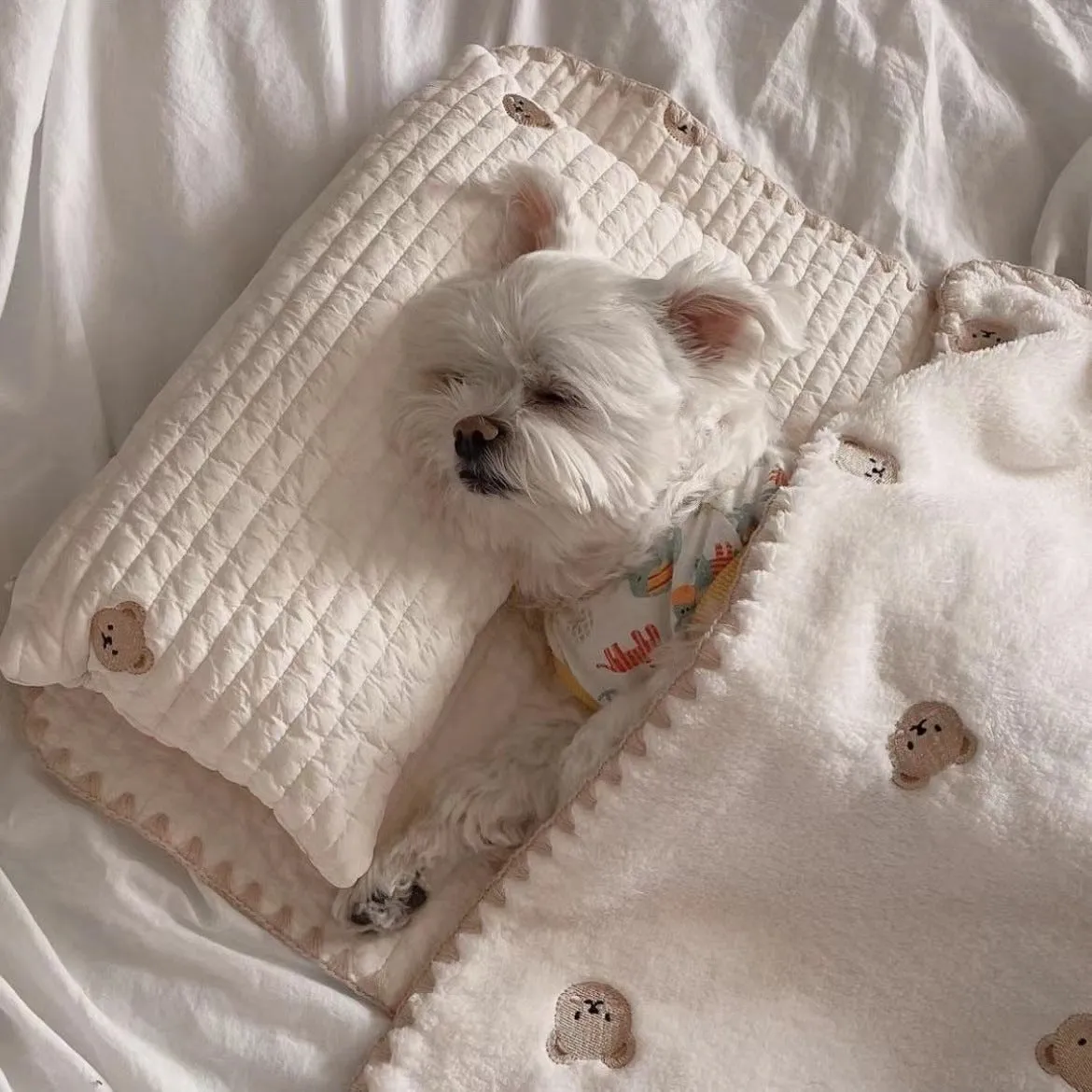 Bear-patterned dog bed set with pillow, mattress, and quilt components in removable washable design