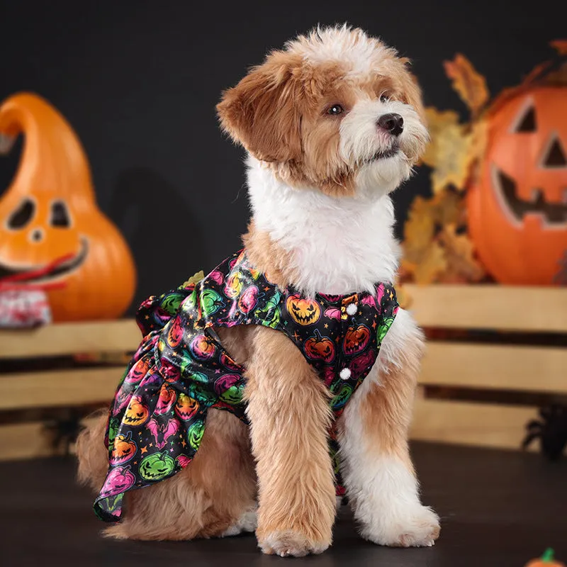 Halloween dog costume with angel wings design in bright pumpkin colour on a small dog.