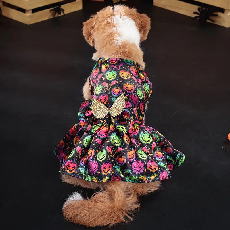Halloween dog costume with angel wings design in bright pumpkin colour on a small dog.
