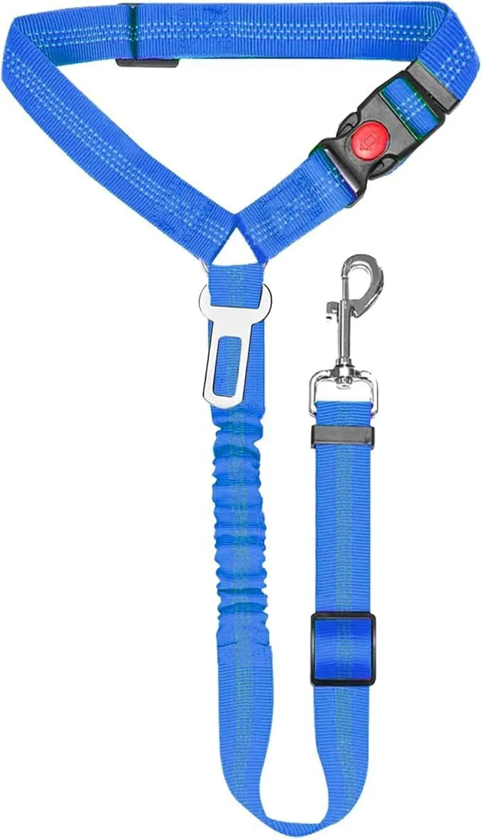 Nylon dog leash with metal buckle in one of eleven colour options including green, blue, pink and red.