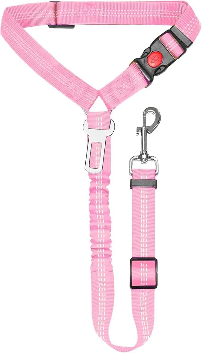 Nylon dog leash with metal buckle in one of eleven colour options including green, blue, pink and red.