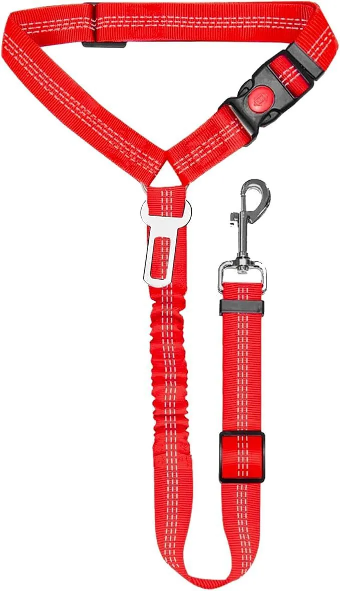 Nylon dog leash with metal buckle in one of eleven colour options including green, blue, pink and red.