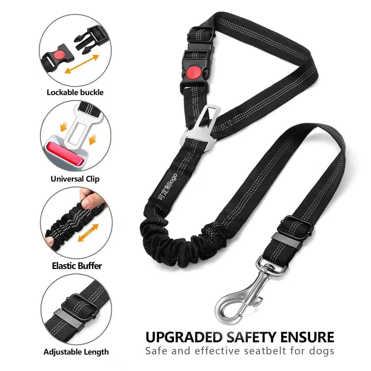 Nylon dog leash with metal buckle in one of eleven colour options including green, blue, pink and red.
