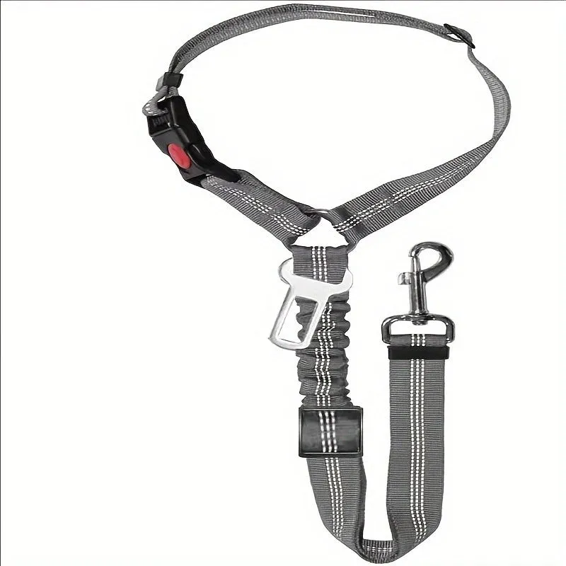 Nylon dog leash with metal buckle in one of eleven colour options including green, blue, pink and red.