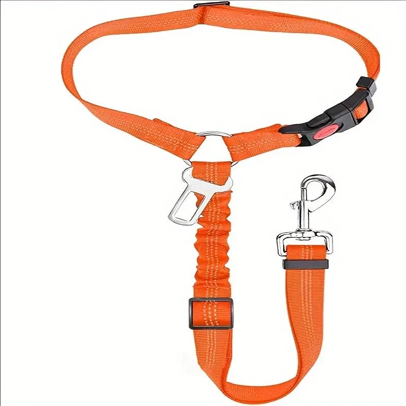 Nylon dog leash with metal buckle in one of eleven colour options including green, blue, pink and red.