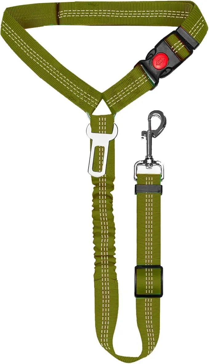 Nylon dog leash with metal buckle in one of eleven colour options including green, blue, pink and red.