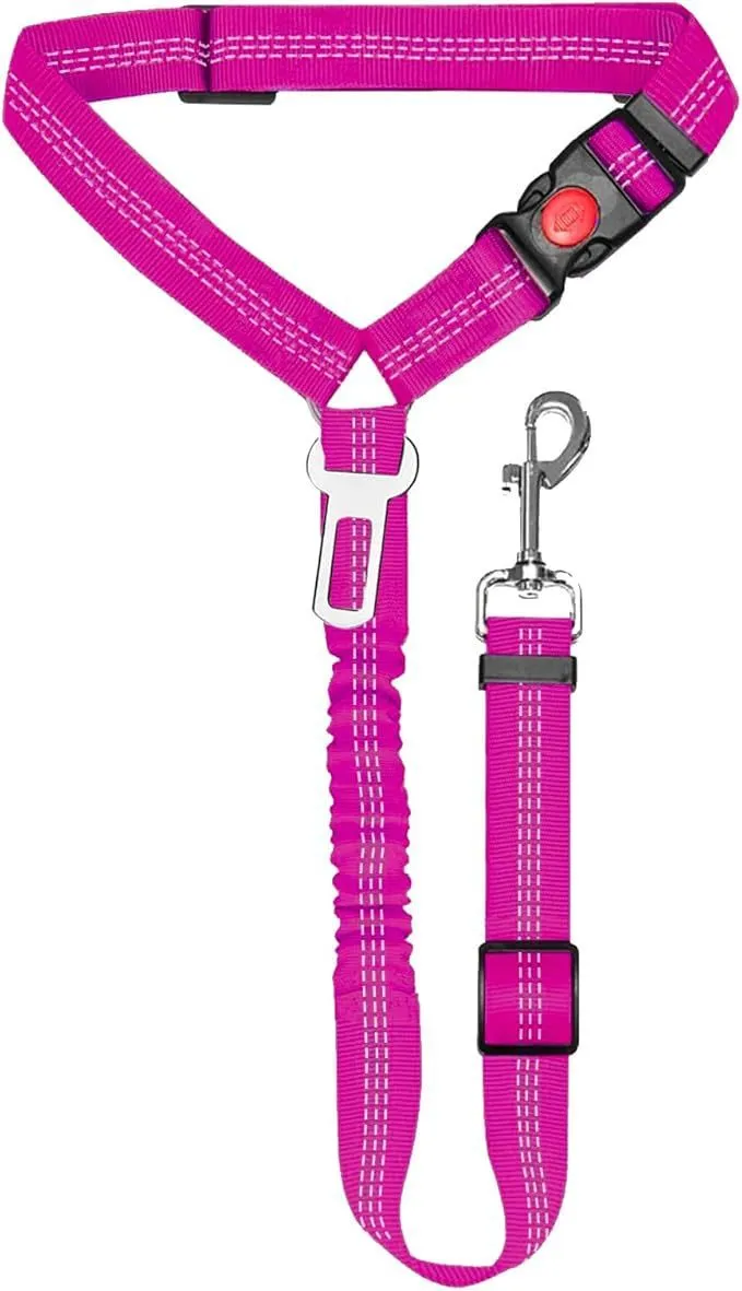 Nylon dog leash with metal buckle in one of eleven colour options including green, blue, pink and red.