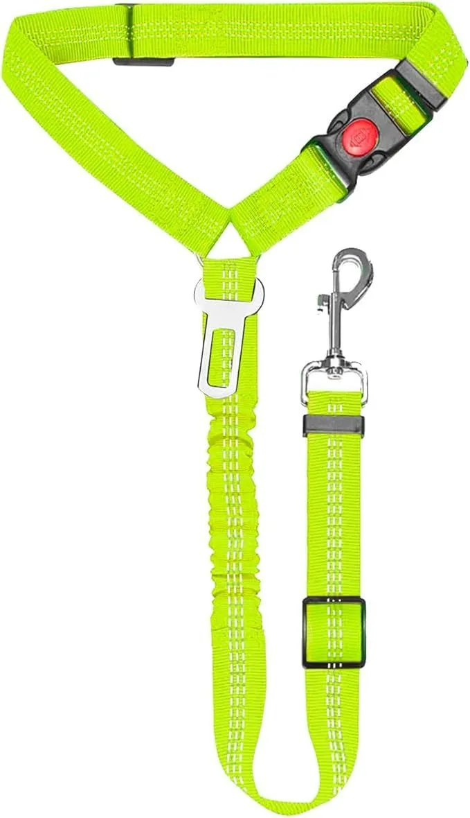 Nylon dog leash with metal buckle in one of eleven colour options including green, blue, pink and red.