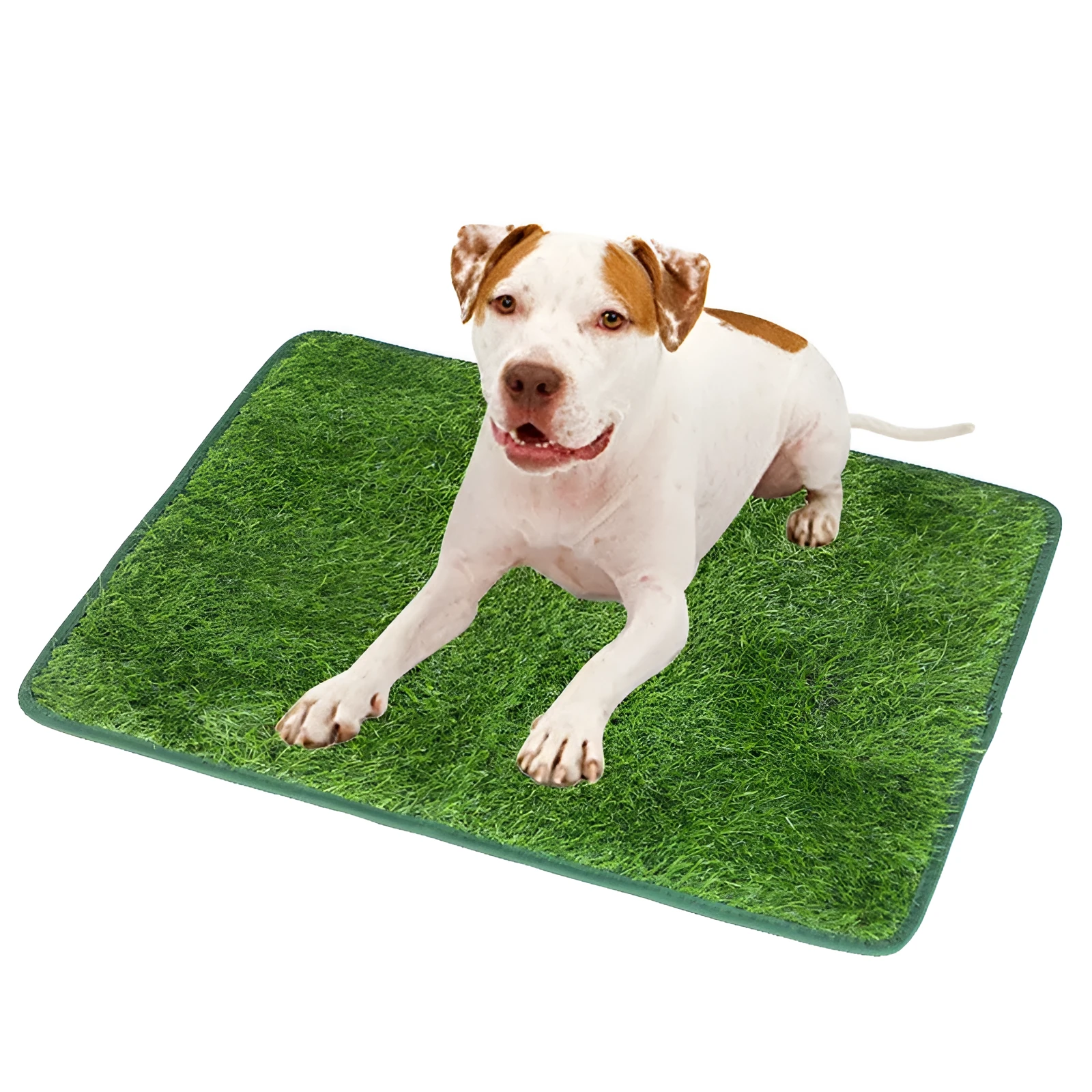 Green washable dog grass pee pad with realistic lawn texture on a patio.