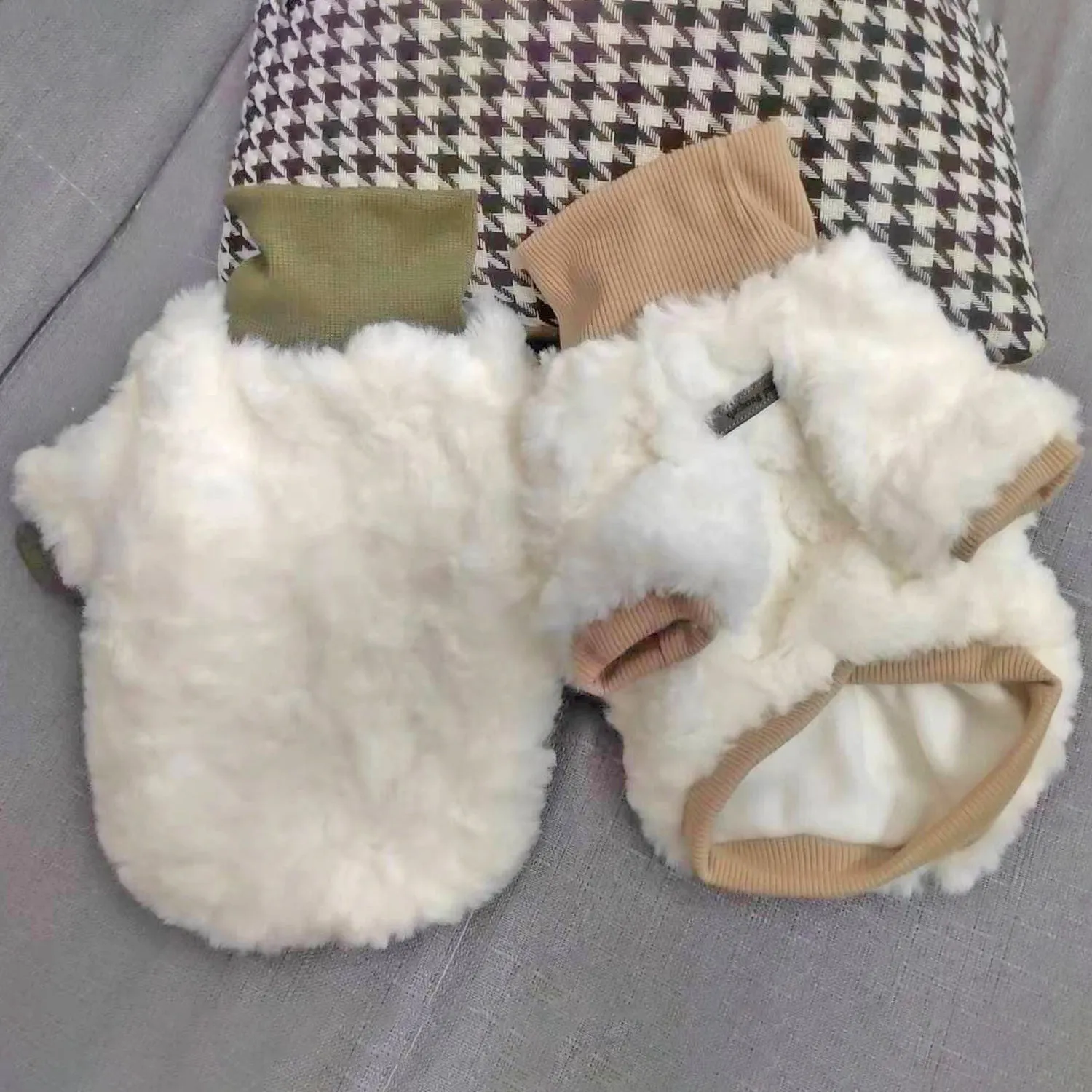 Creamy green turtleneck dog coat with high collar on small dog, showing plush cotton-padded construction