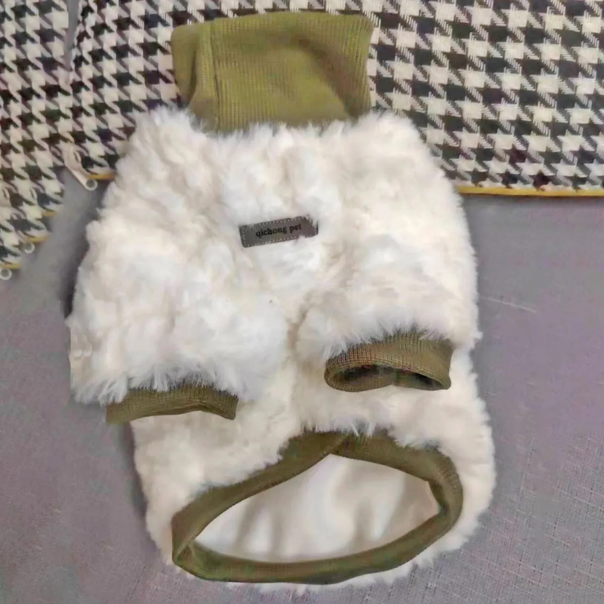 Creamy green turtleneck dog coat with high collar on small dog, showing plush cotton-padded construction