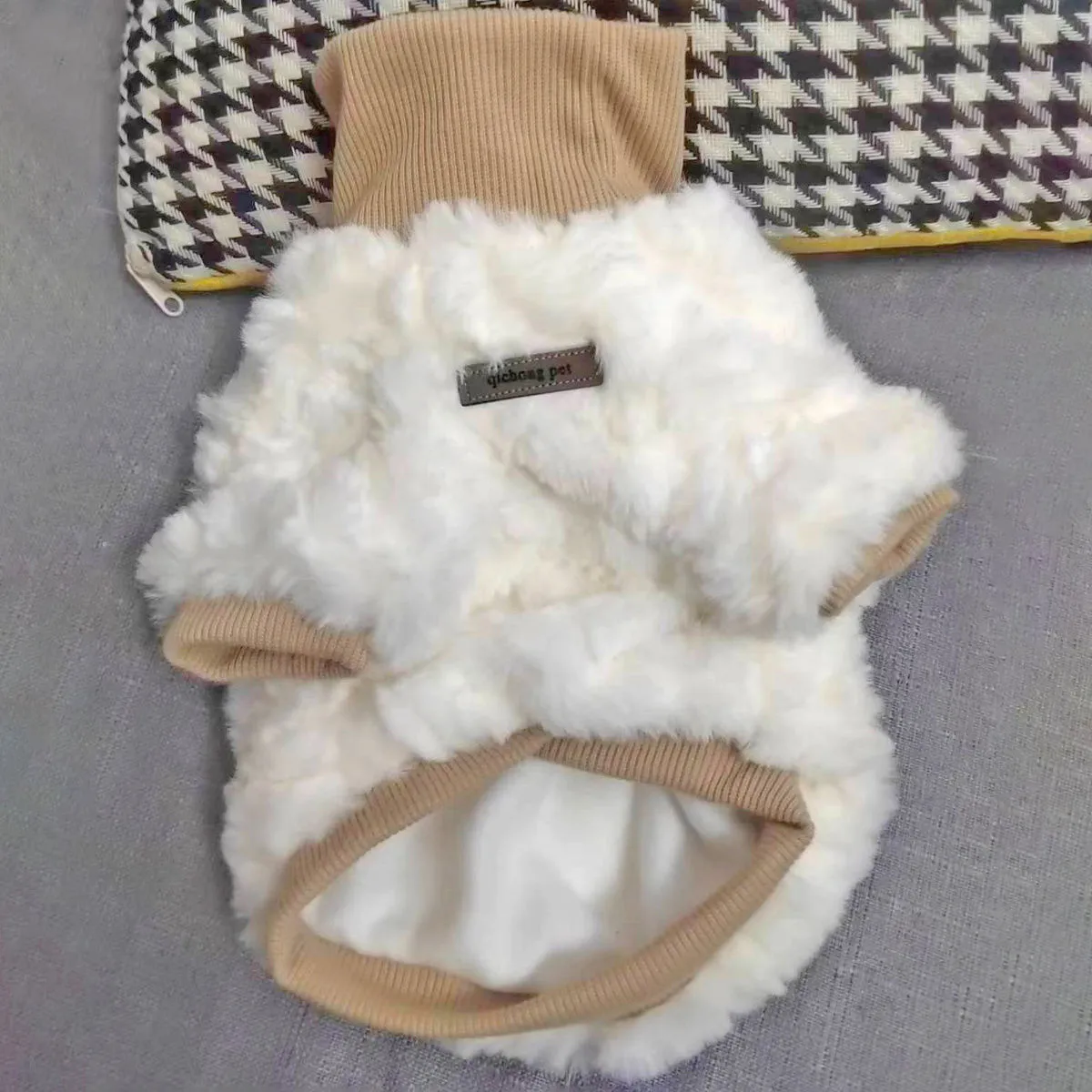 Creamy green turtleneck dog coat with high collar on small dog, showing plush cotton-padded construction