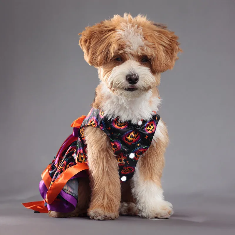 A double-layer Halloween pet skirt for dogs in a colourful pumpkin print, shown in size M.