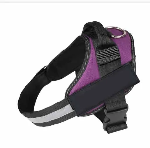 Adjustable dog harness with padded vest in multiple colours, showing front straps and back D-ring.