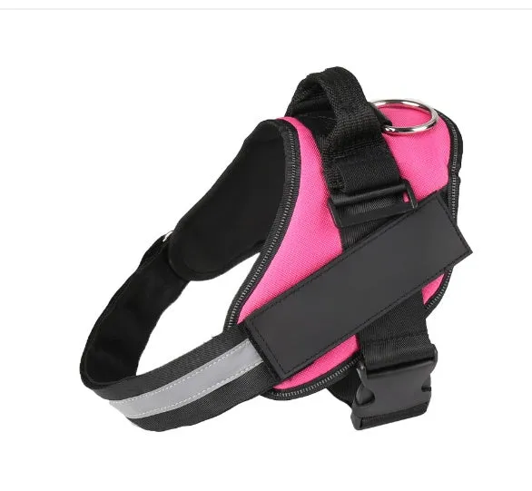 Adjustable dog harness with padded vest in multiple colours, showing front straps and back D-ring.