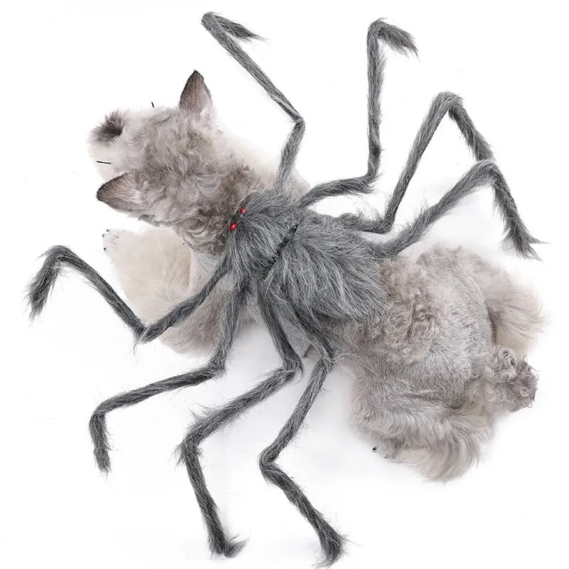 Grey polyester spider costume for a small dog on Halloween.