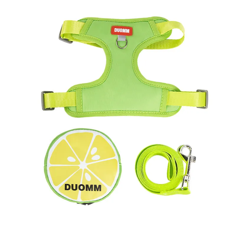 Fruit-themed pet backpack chest strap set with matching traction rope in multiple colours