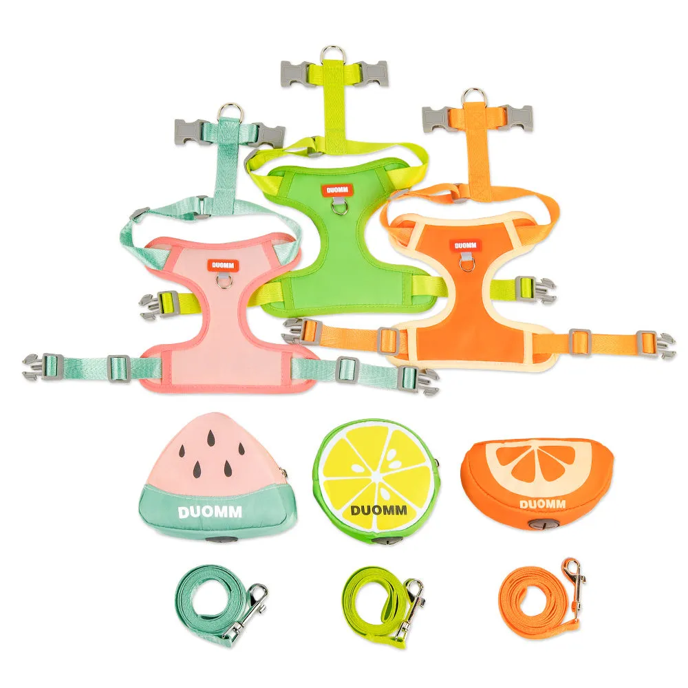 Fruit-themed pet backpack chest strap set with matching traction rope in multiple colours