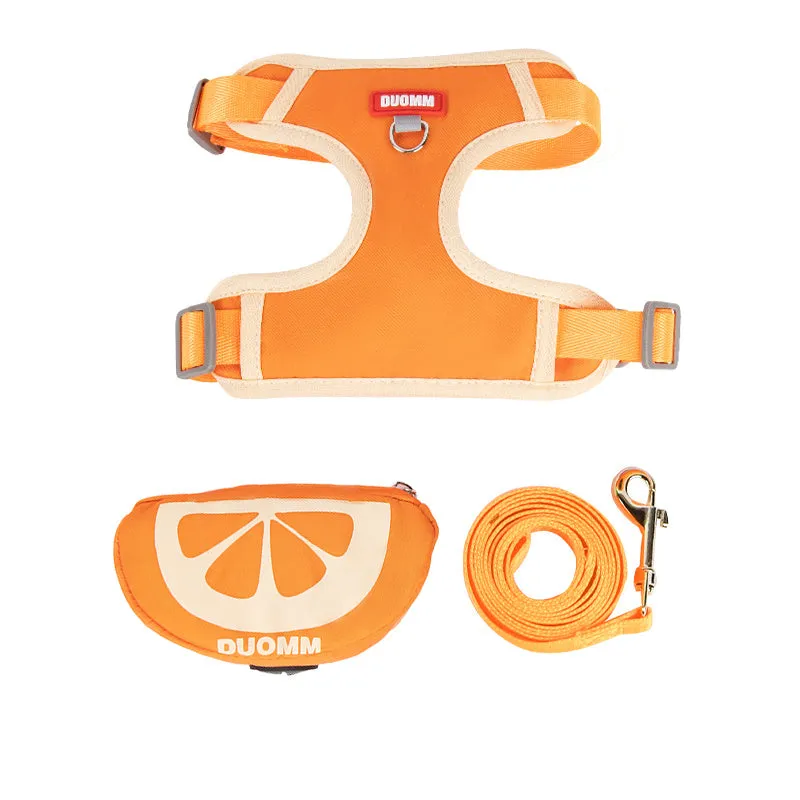 Fruit-themed pet backpack chest strap set with matching traction rope in multiple colours
