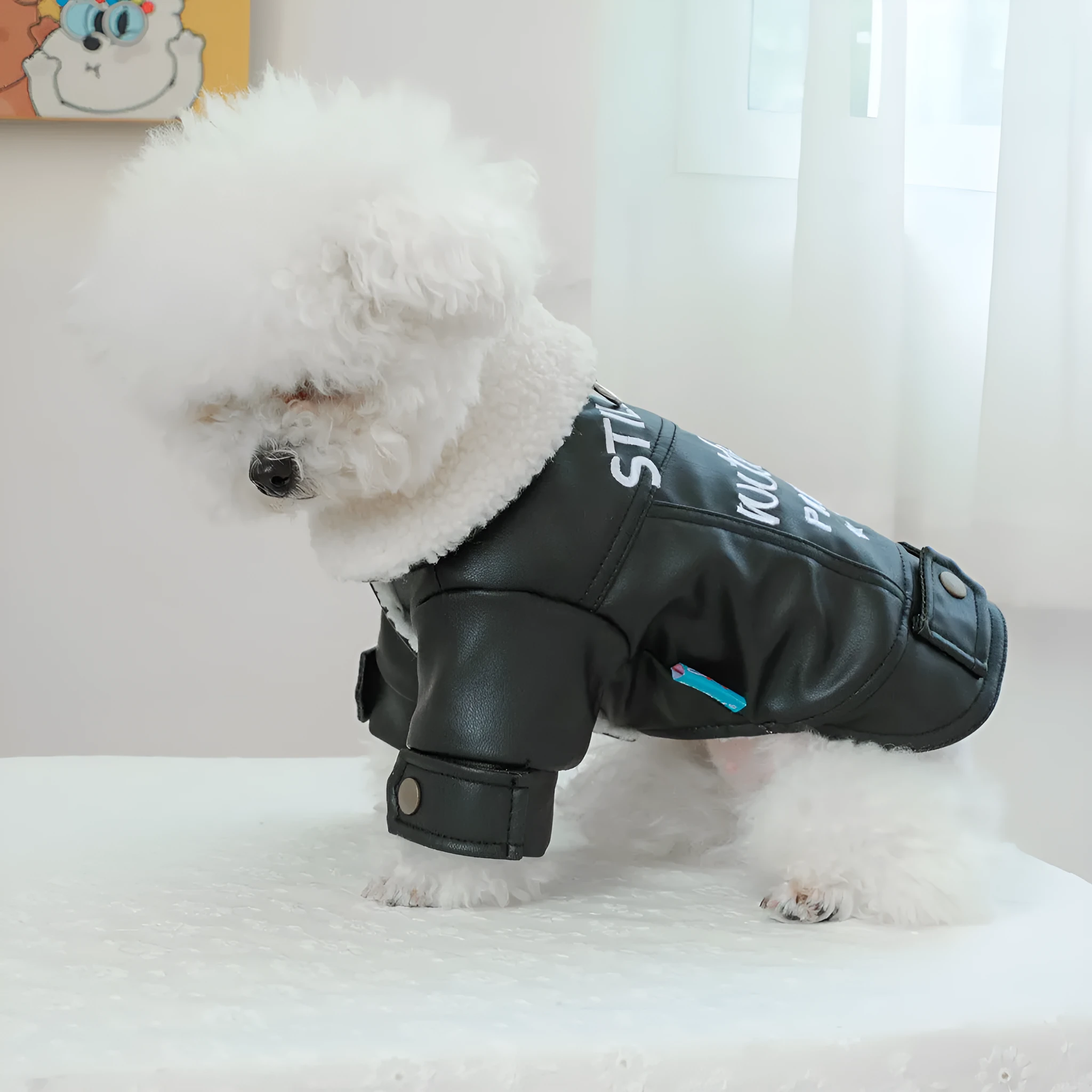 Fleece lined padded dog coat in three colours with size measurement chart