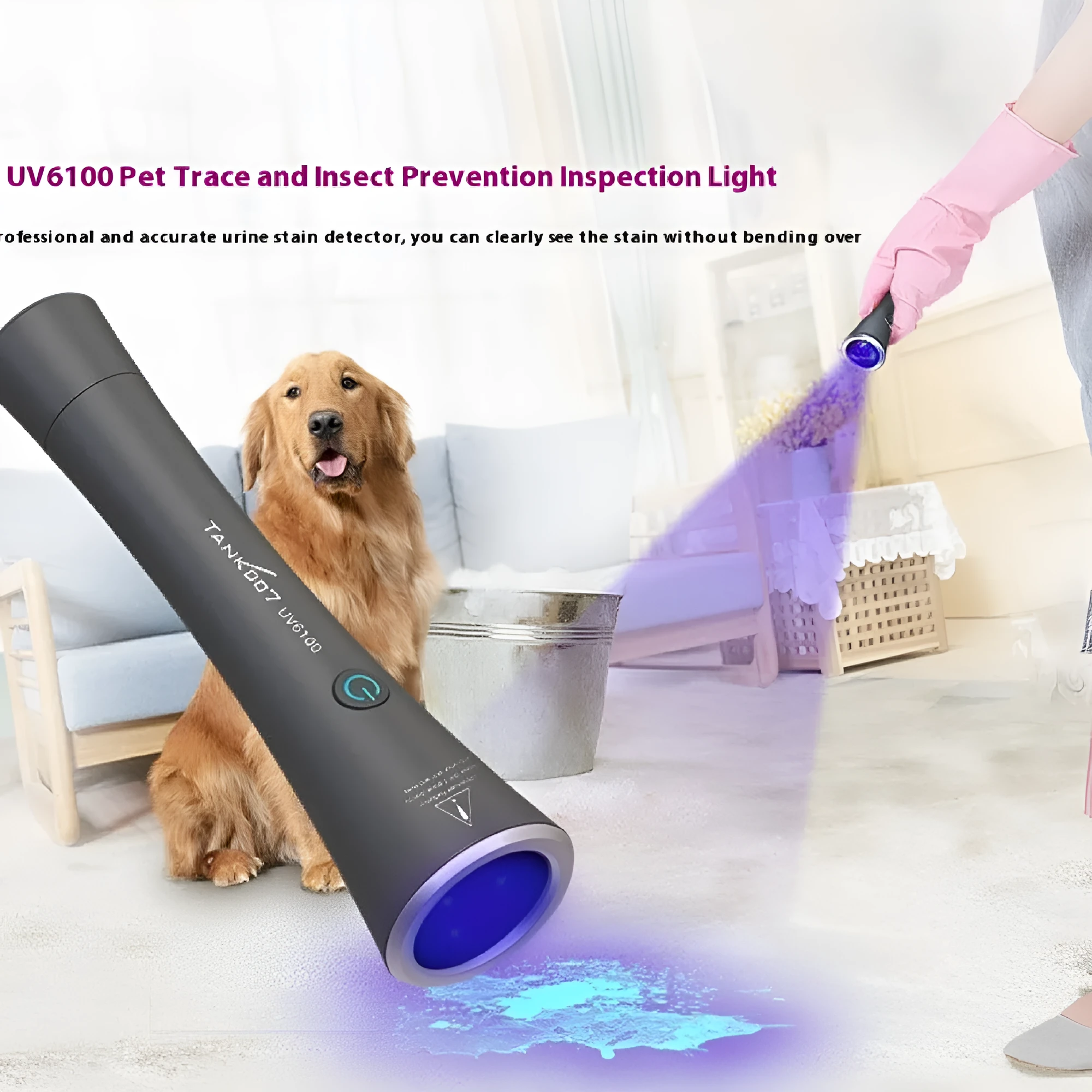 Aluminium UV flashlight for detecting pet urine stains on carpets, showing USB-C port.