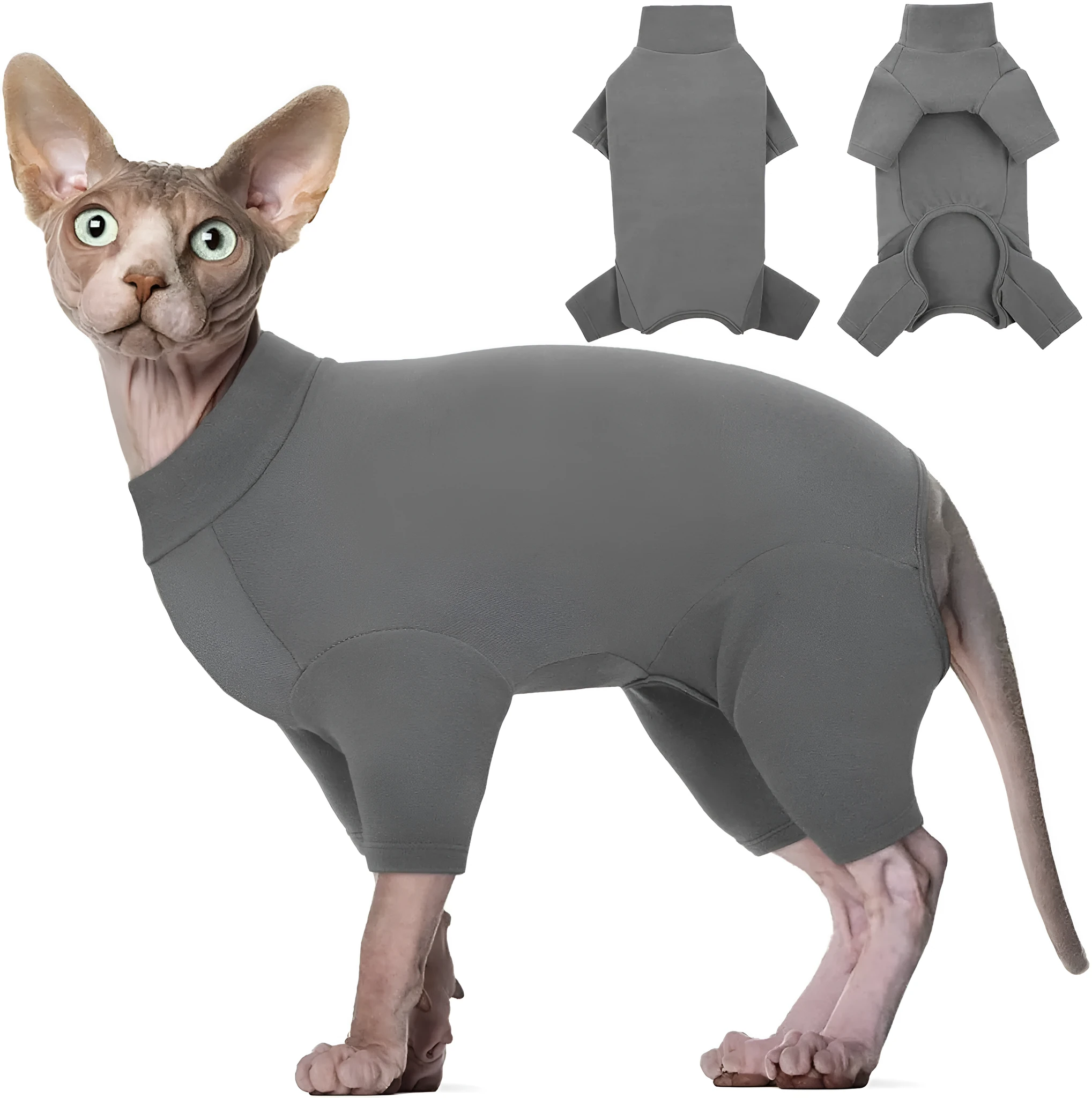 A grey Sphynx cat wearing a soft beige turtleneck sweater with leg openings.