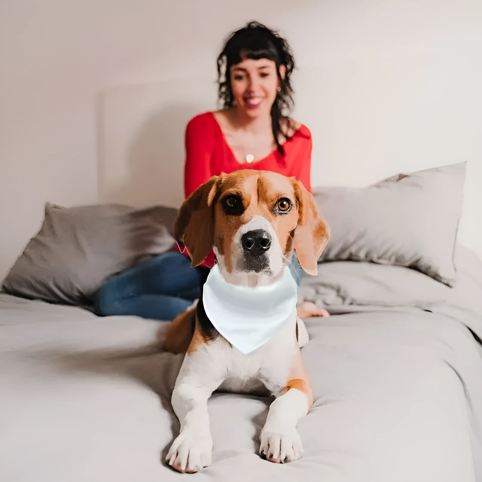 Blank white polyester dog scarf for custom thermal transfer printing in four sizes.