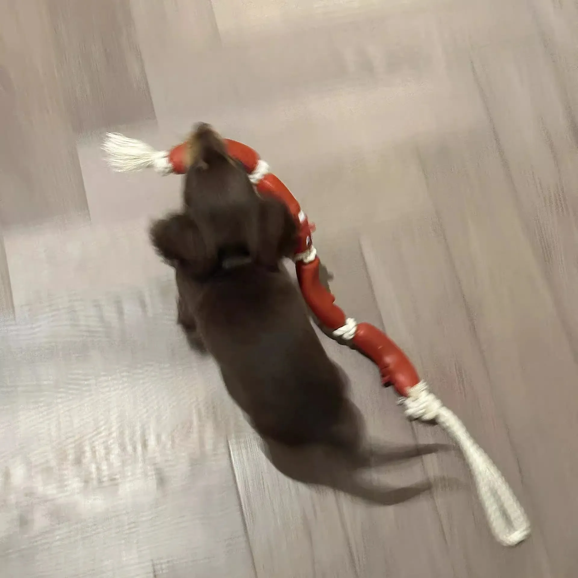 Brown cat tug of war rope toy with sausage-shaped sections, total length 108cm.