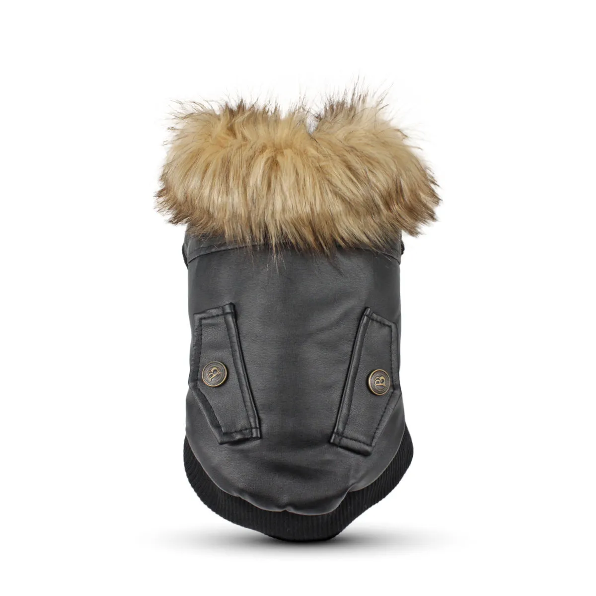 Black leather dog coat with a fur-trimmed collar on a dog, showing British style.