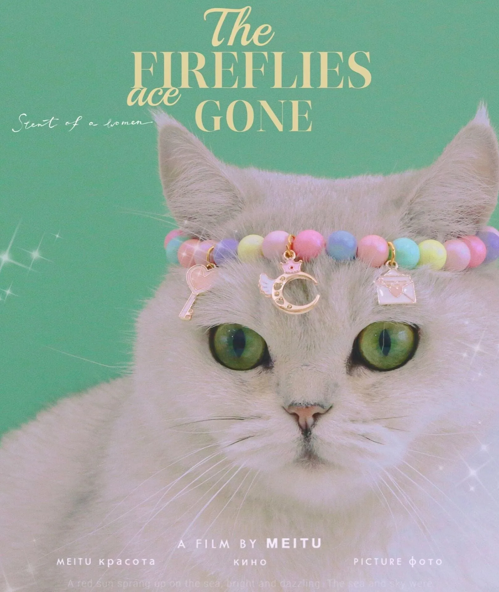 Macaron-themed resin decorative collar for a small dog or cat, shown in one of seven colour options.