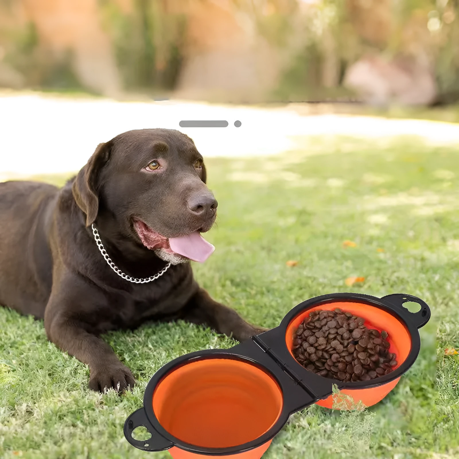 Blue folding silicone double pet bowl with non-slip base, shown open and collapsed flat.
