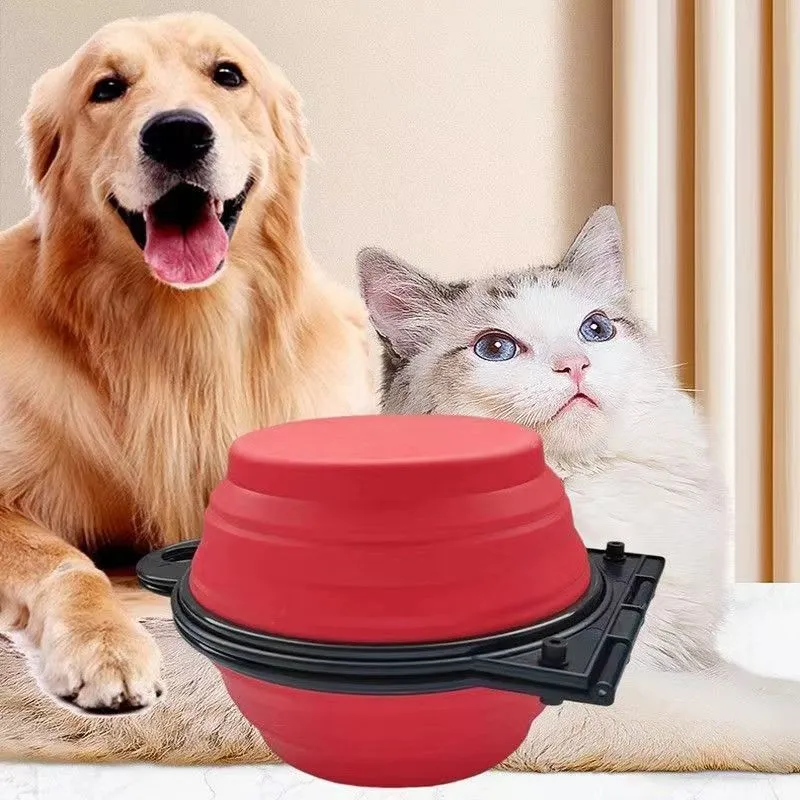 Blue folding silicone double pet bowl with non-slip base, shown open and collapsed flat.