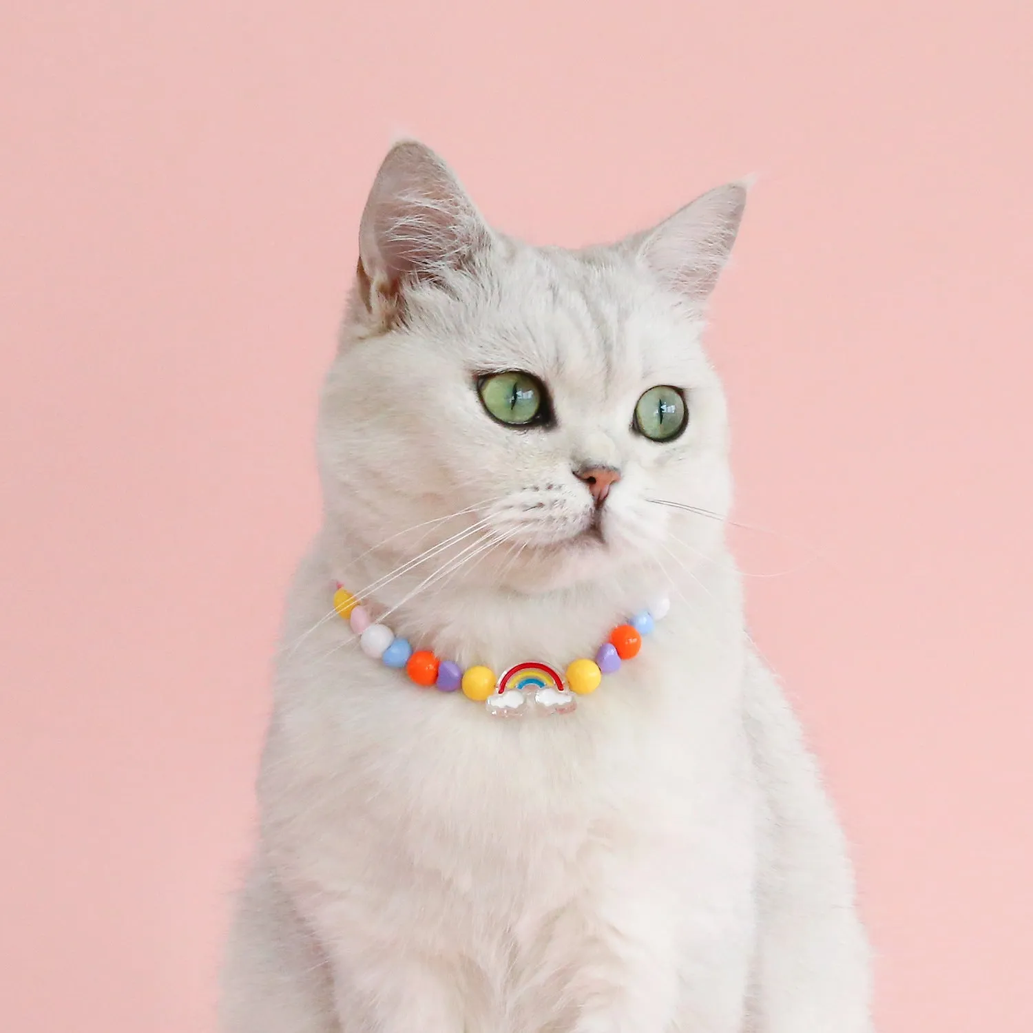 Colourful plastic pearl necklace for small pets on a white background, showing peach, rainbow, and small flower bead design options.
