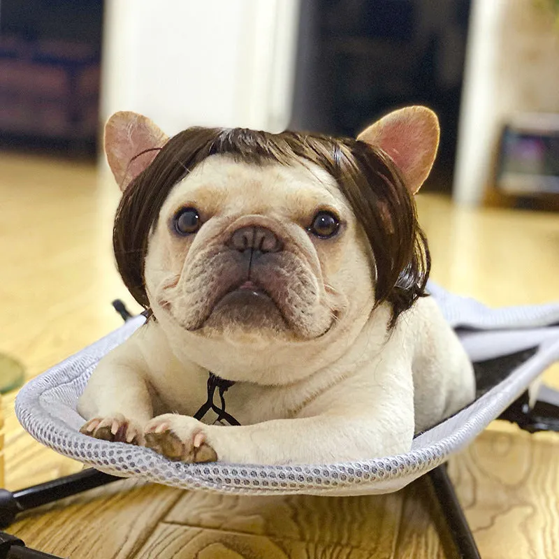 Pet wig sheath costume headdress in afro, braid, and clown styles for dog or cat with 30-60cm head.