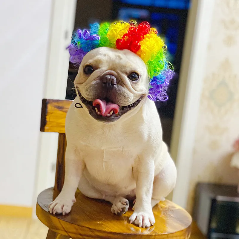 Pet wig sheath costume headdress in afro, braid, and clown styles for dog or cat with 30-60cm head.
