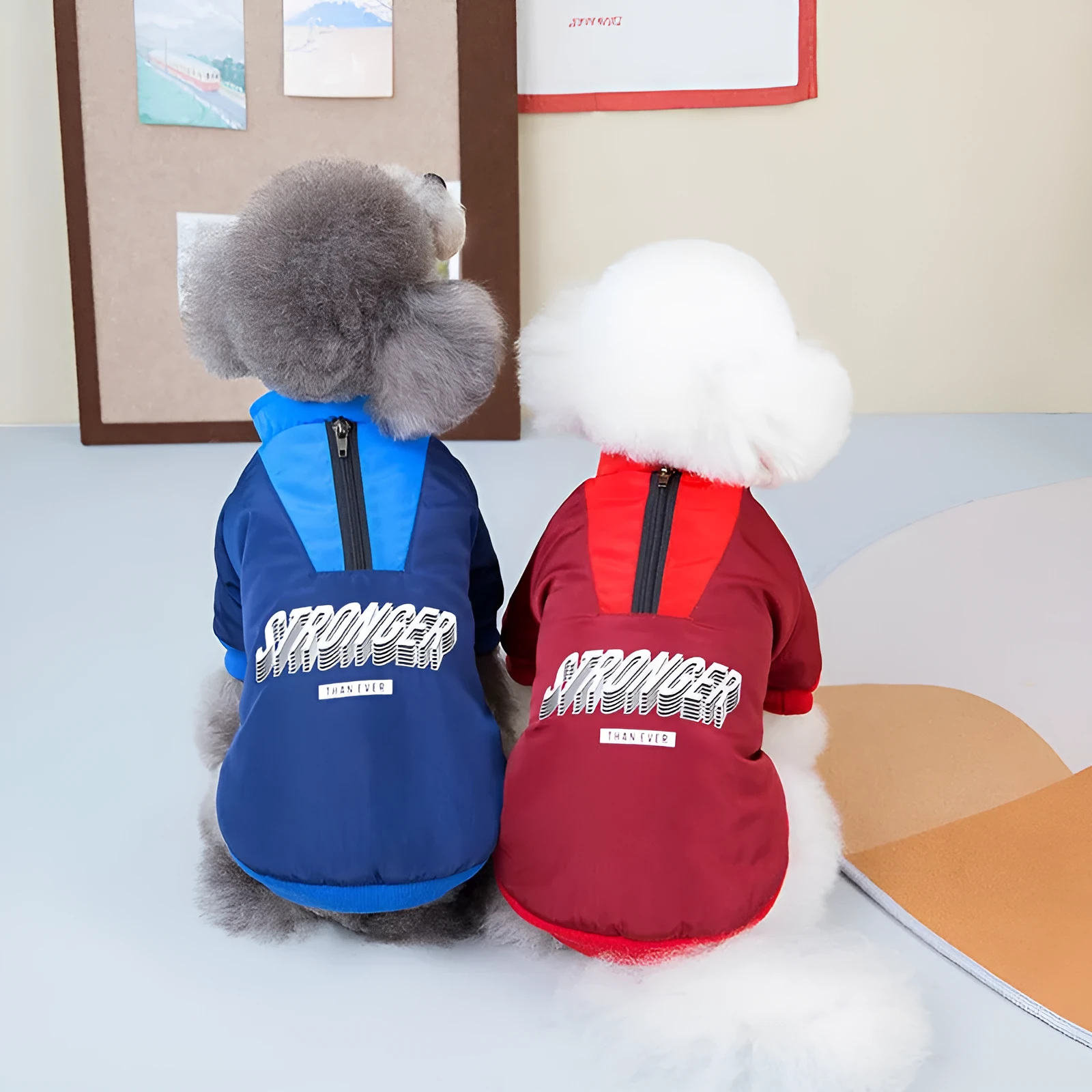 Red or blue thick cotton V-neck dog coat shown in sizes from XS to 3L for winter wear.