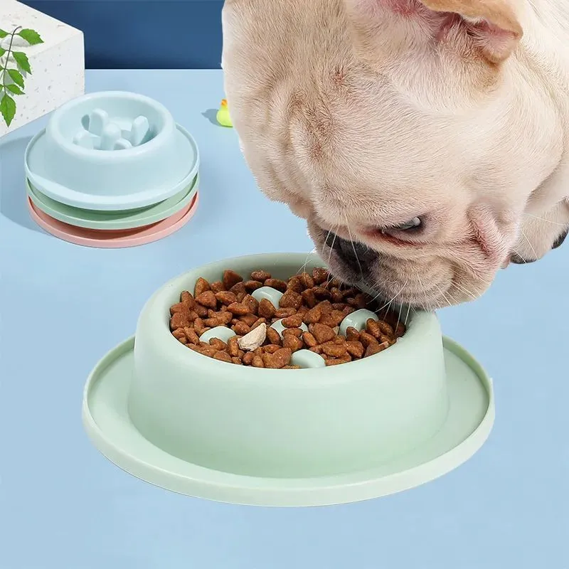 PP plastic slow feeder pet bowl in macaroon colour with raised feeding obstacles