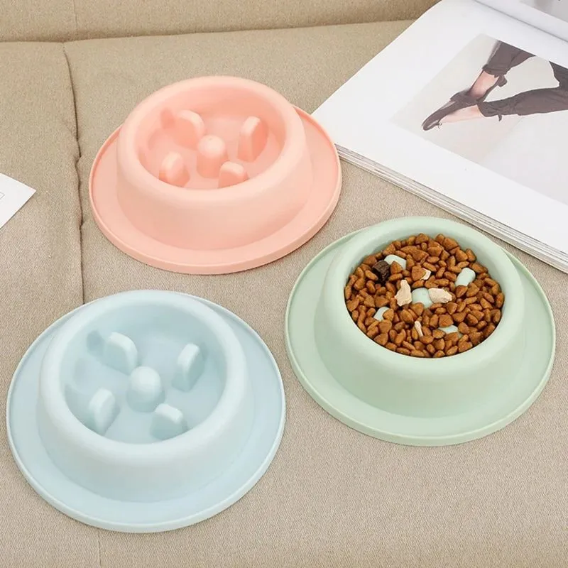 PP plastic slow feeder pet bowl in macaroon colour with raised feeding obstacles
