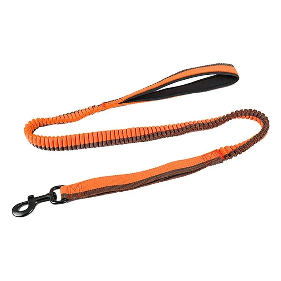 Green elastic dog training leash with metal clip for medium to large dogs